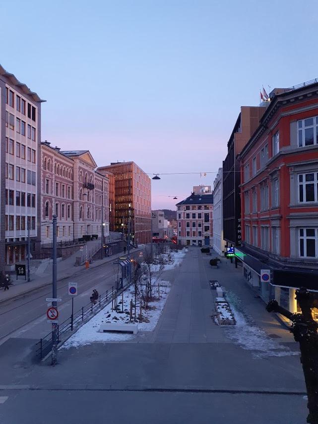 Appartement Bright And Charming From 1878 With View To The New National Museum In