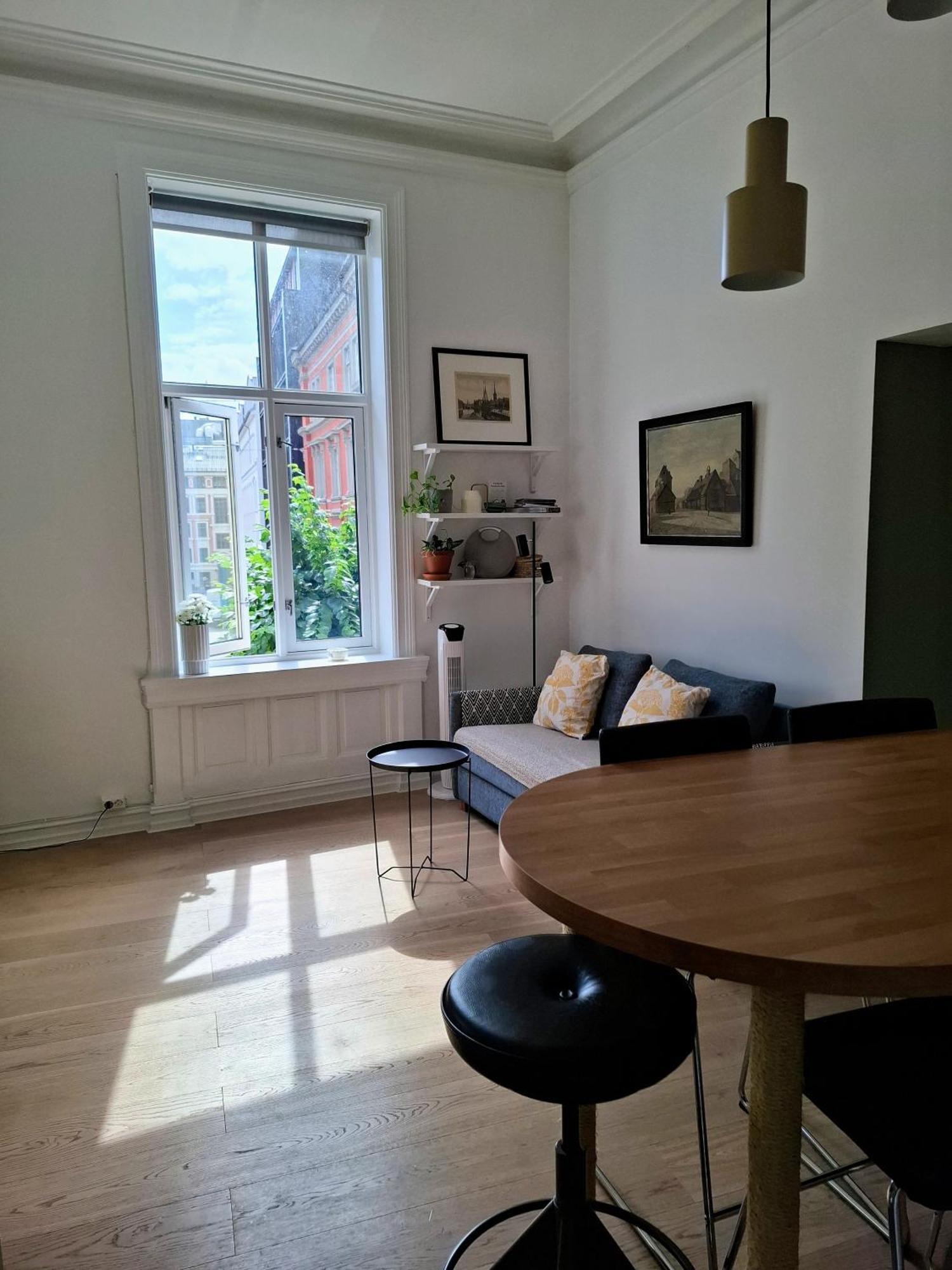 Appartement Bright And Charming From 1878 With View To The New National Museum In *
